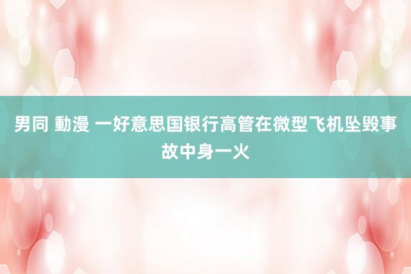 男同 動漫 一好意思国银行高管在微型飞机坠毁事故中身一火