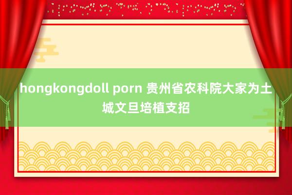 hongkongdoll porn 贵州省农科院大家为土城文旦培植支招