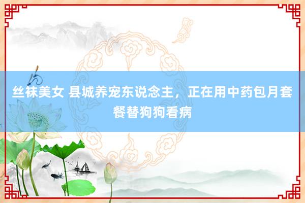 丝袜美女 县城养宠东说念主，正在用中药包月套餐替狗狗看病